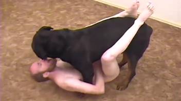 Horny canine obsessed with sex roughly penetrates a dirty mistress in doggy position
