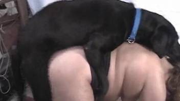 Creampie
