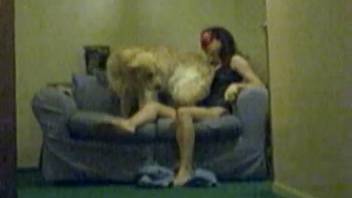 Perverted mask-clad animal lover has her vagina demolished by a canine