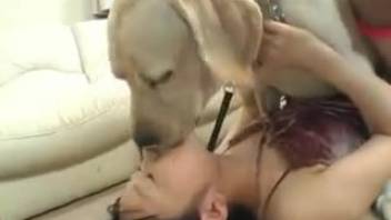 Japanese adult video anthology of bestiality scenes featuring aroused youthful females