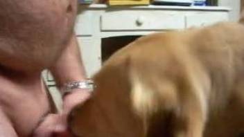 Dog cum