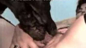 Big dog dick