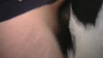 Guy is set to stretch open a female horse's steamy cunt from the rear