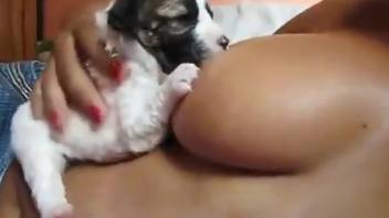 puppy